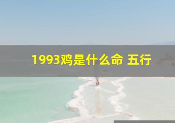 1993鸡是什么命 五行